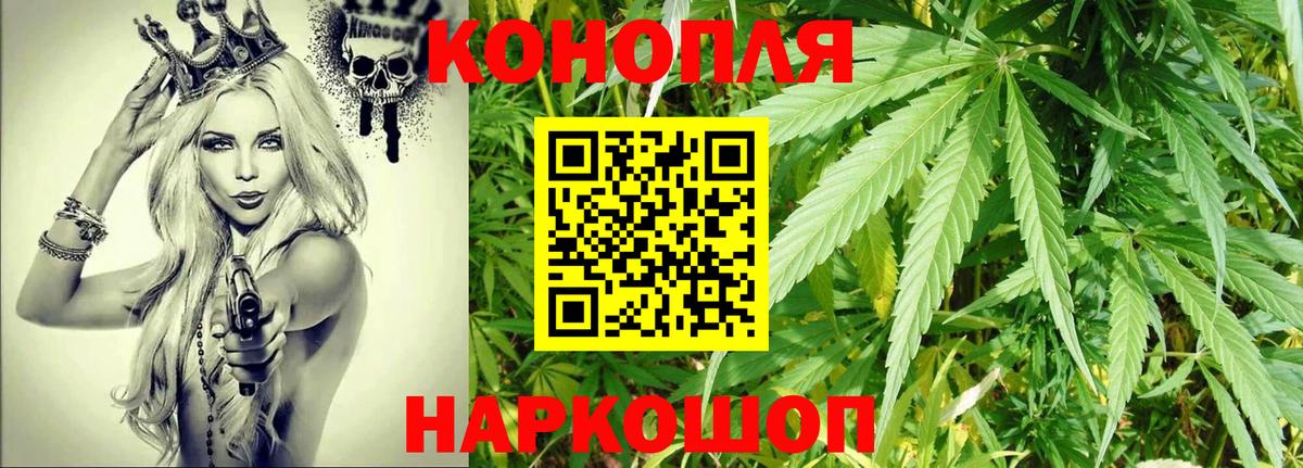 Бошки Шишки конопля Ишим